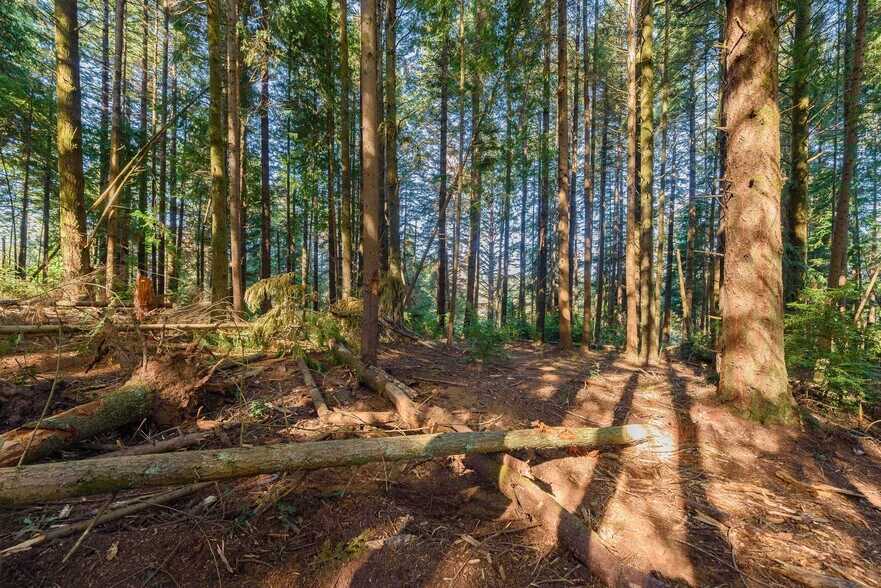 More Photos Of 0 Newmark ave, North Bend Land For Sale