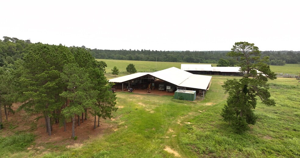 More Photos Of 44 Bucking Bull Rd, New Waverly Land For Sale