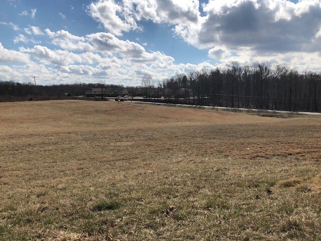 More Photos Of Brockman Park Drive, West & East Commerce St, Amherst Land For Sale