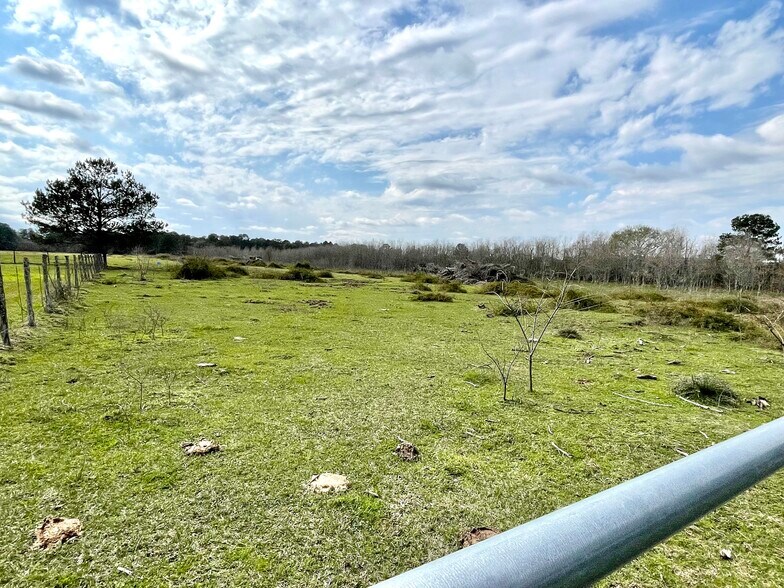 More Photos Of 0 WALLER TOMBALL Rd, Hockley Land For Sale