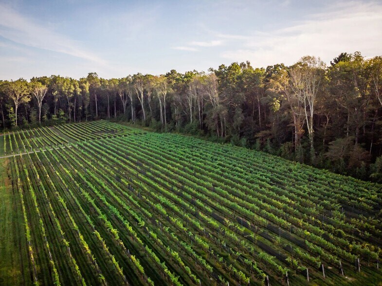 More Photos Of 848 CT-171, Woodstock Winery Vineyard For Sale