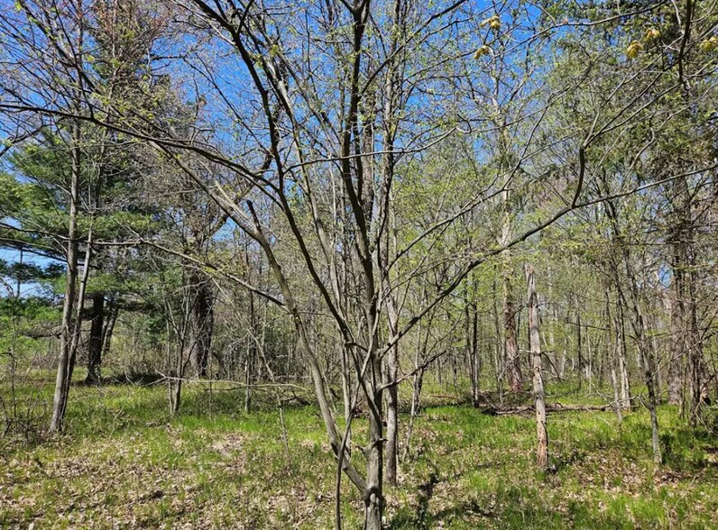 More Photos Of 2935 S Wisconsin Ave, Rice Lake Land For Sale