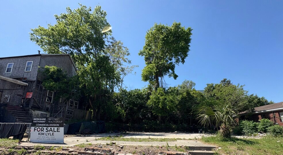 More Photos Of 115 Randolph St, Savannah Land For Sale