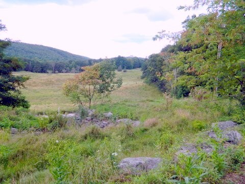 More Photos Of 1744 Route 611, Mount Pocono Land For Sale