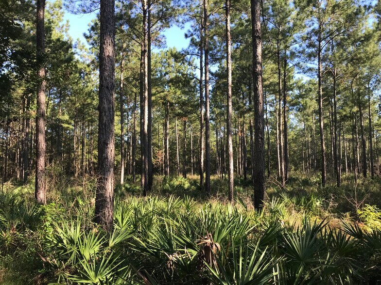 More Photos Of 0 Red Feather Dr, Seminole Land For Sale