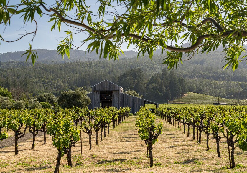 More Photos Of 1540 W Zinfandel Ln, Saint Helena Land For Sale