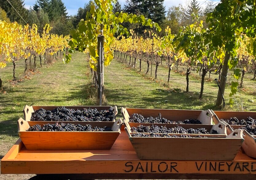 More Photos Of 1673 Woodland Dr, Port Townsend Winery Vineyard For Sale