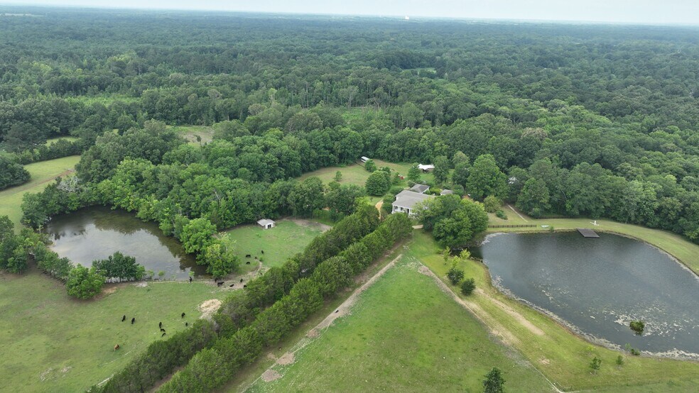 More Photos Of 9712 US Highway 31, Hope Hull Land For Sale