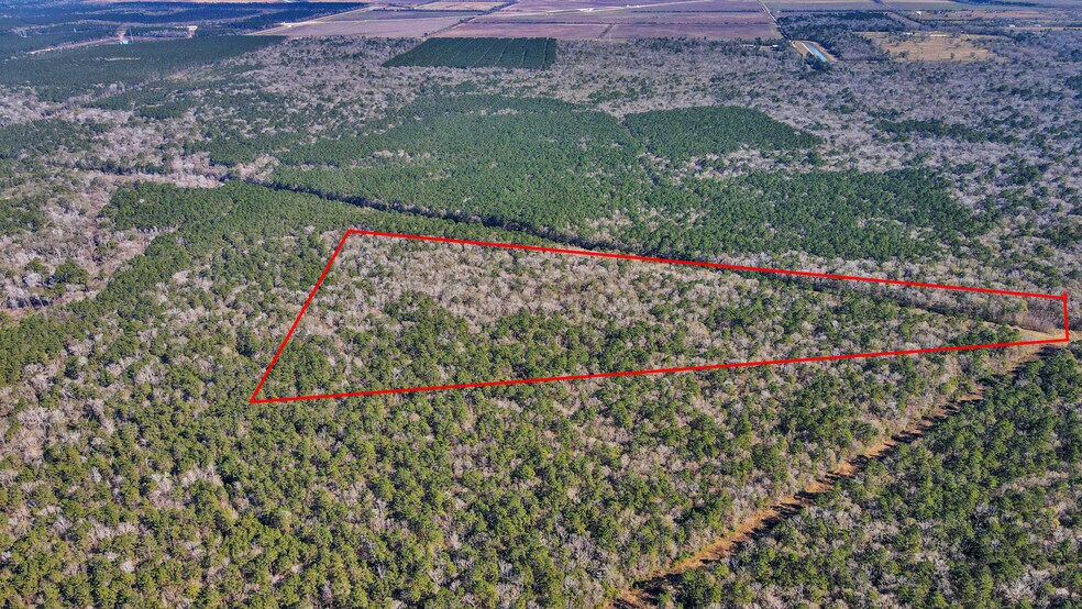 More Photos Of 0 CR6242, Huffman Land For Sale