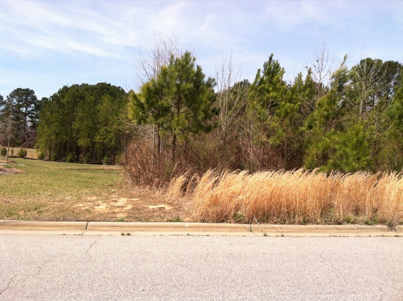 More Photos Of 1376 Ruin Creek Rd, Henderson Land For Sale