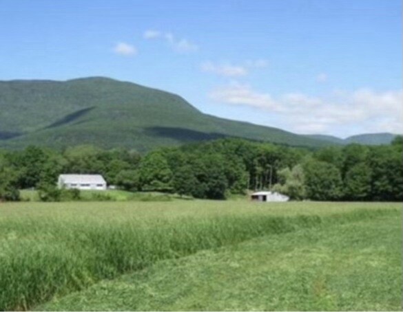 Primary Photo Of 4986 Route 32, Catskill Land For Sale