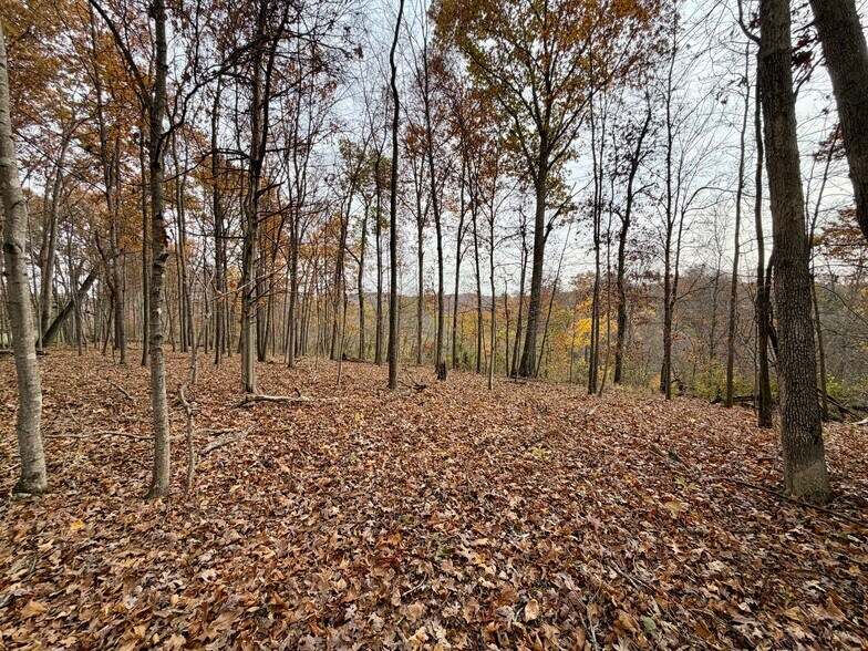 More Photos Of 23765 Charleston Rd, Leon Land For Sale