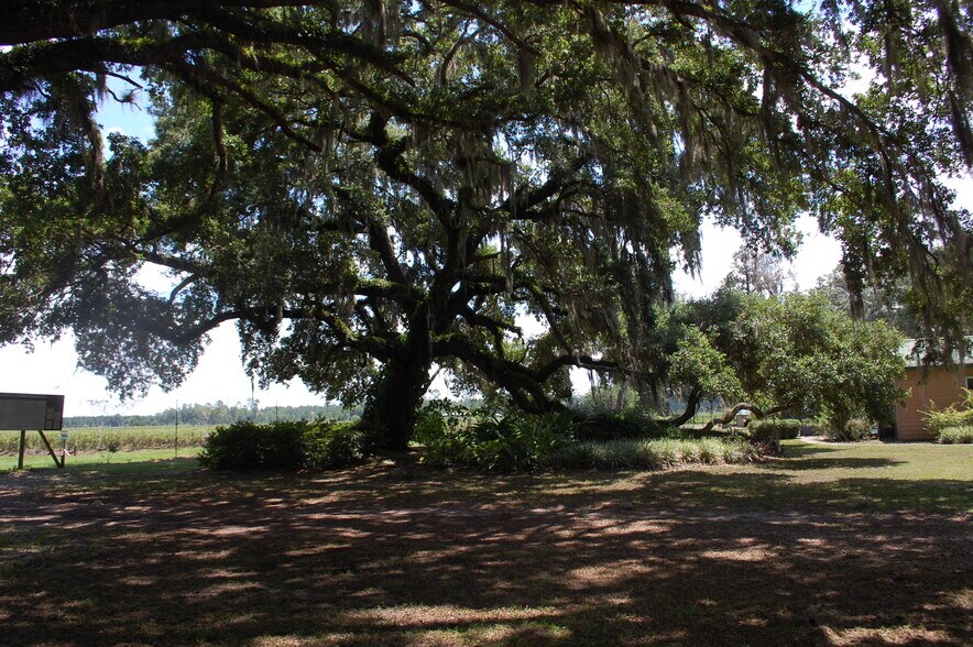 More Photos Of 18811 SE 243rd St, Hawthorne Specialty For Sale