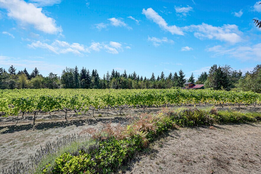 More Photos Of 1673 Woodland Dr, Port Townsend Winery Vineyard For Sale