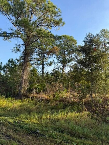 Primary Photo Of 8024 Cabo dr, Sebring Flex For Sale