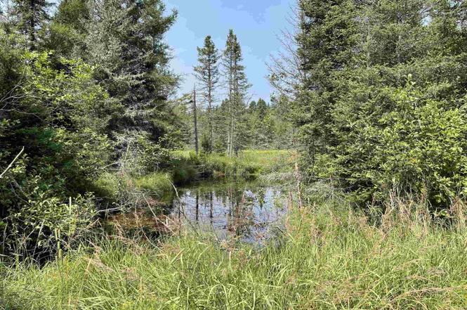 More Photos Of 26497 US-41, Covington Flex For Sale