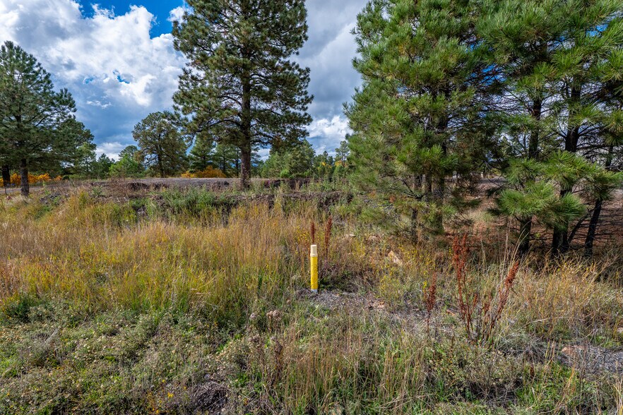 More Photos Of 555 Bastille Drive, Pagosa Springs Land For Sale