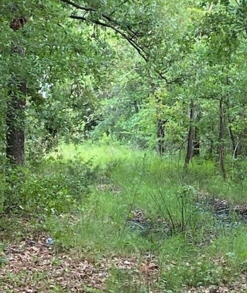 More Photos Of , Kemp Land For Sale