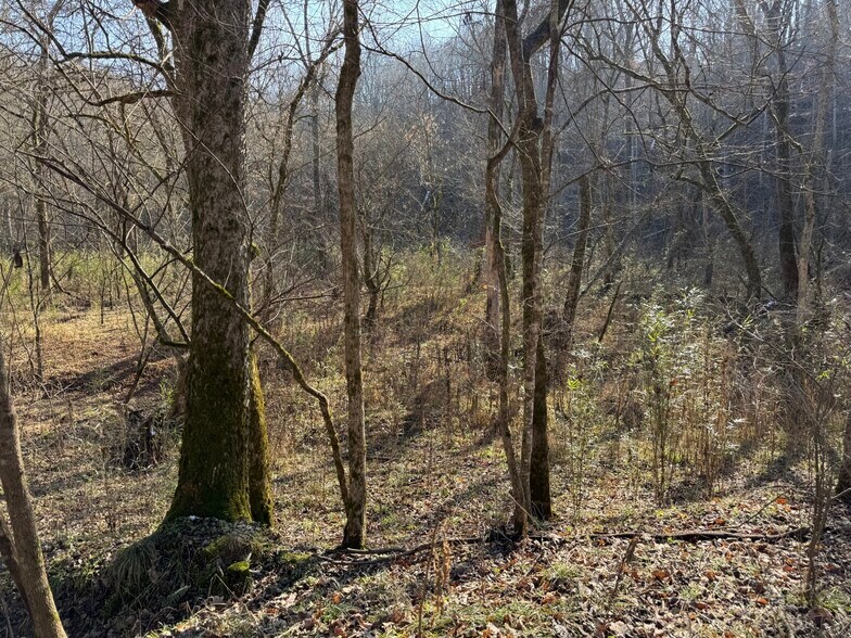 More Photos Of 4604 Summersville Rd, Campbellsville Land For Sale