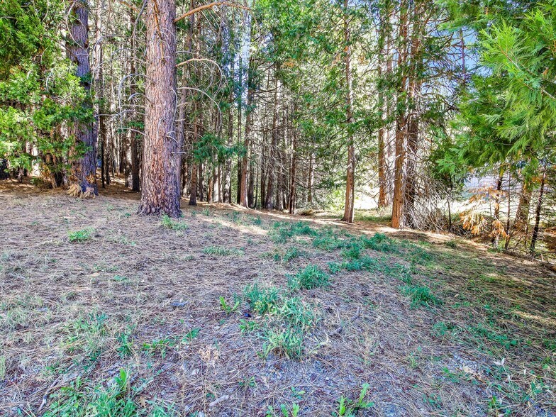 More Photos Of 13651 US Hwy 50, Kyburz Land For Sale