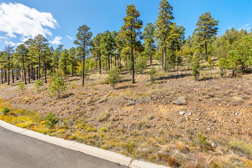 More Photos Of 1300 W Lower Coconino Ave, Flagstaff Land For Sale
