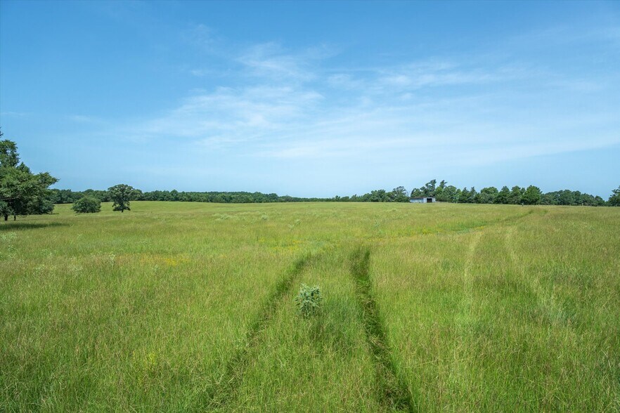 More Photos Of 00 County Road 4501, Jacksonville Land For Sale
