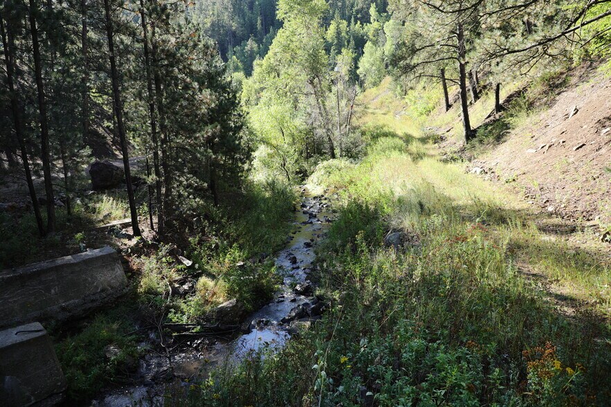 More Photos Of TBD Cutting Mine Road, Lead Land For Sale