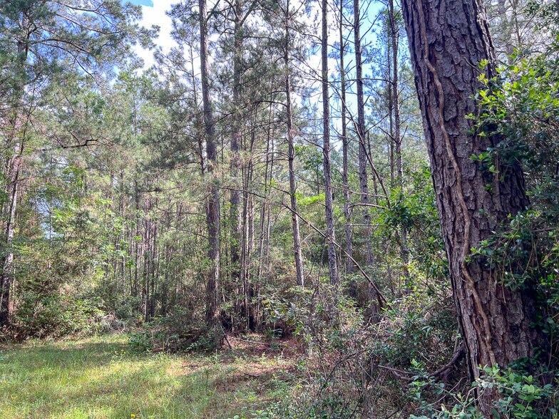 More Photos Of 00 FM 2793, New Waverly Land For Sale