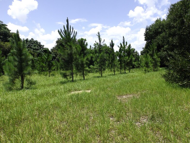 More Photos Of Myrtle Lake Ave, Fruitland Park Land For Sale