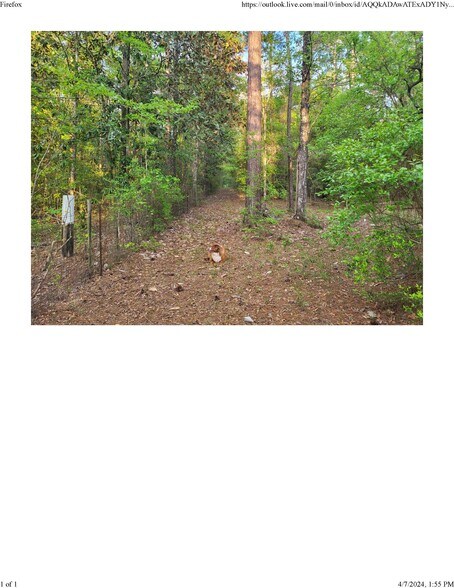 More Photos Of HWY 603, Kiln Land For Sale