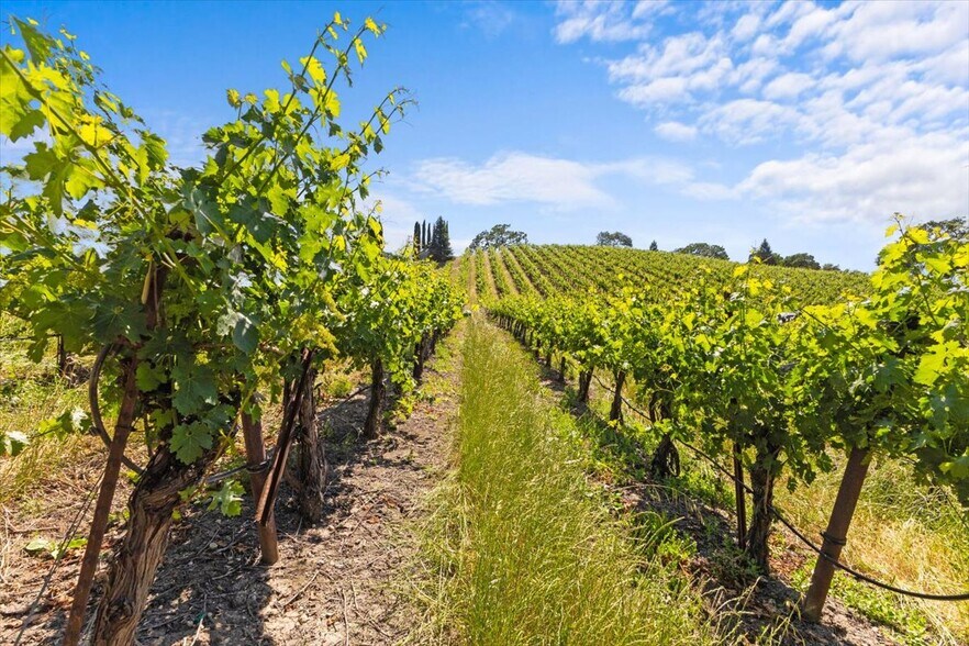 More Photos Of 13404 Flora Ranch Rd, Healdsburg Winery Vineyard For Sale