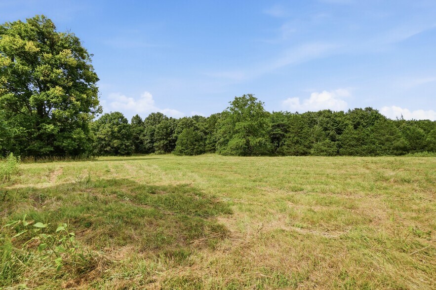 More Photos Of 11373 Colcleasure Rd, Fayetteville Land For Sale