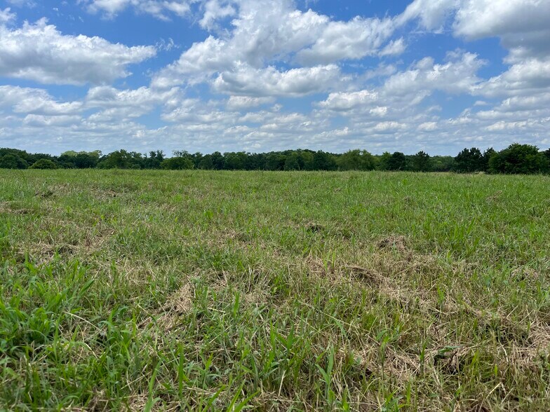 More Photos Of 880 Tafelski Rd, New Waverly Land For Sale