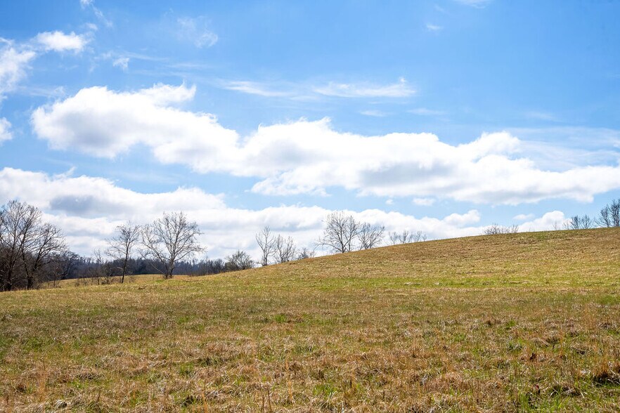 More Photos Of 0 Hwy 13, Linden Land For Sale