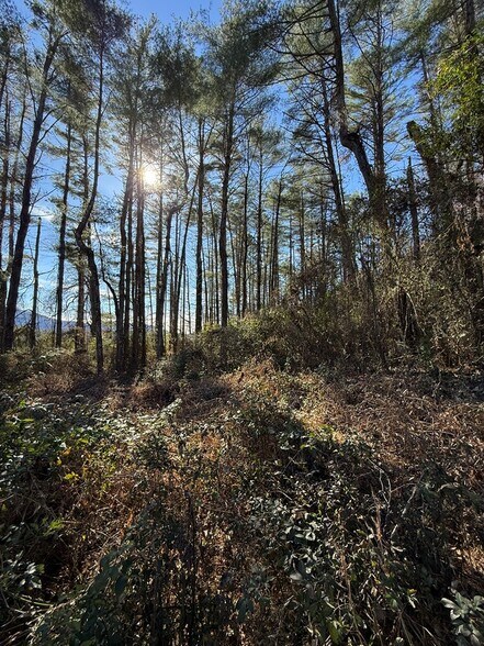 More Photos Of 00 Airport Rd, Andrews Land For Sale