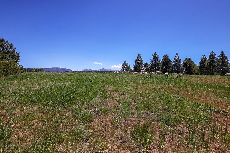 More Photos Of TBD Krahn Ln, Mccall Land For Sale