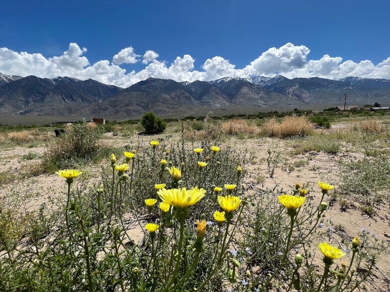 More Photos Of Highway 6 @ Dawson Ranch Road, Hammil Valley Land For Sale