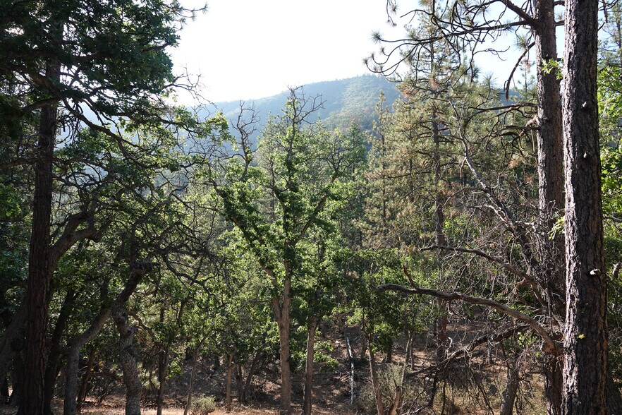 More Photos Of 0 East Rd, Fort Jones Land For Sale