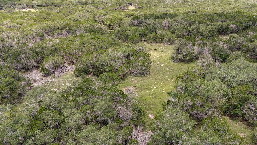 More Photos Of 4601 County Road 251, Hondo Land For Sale