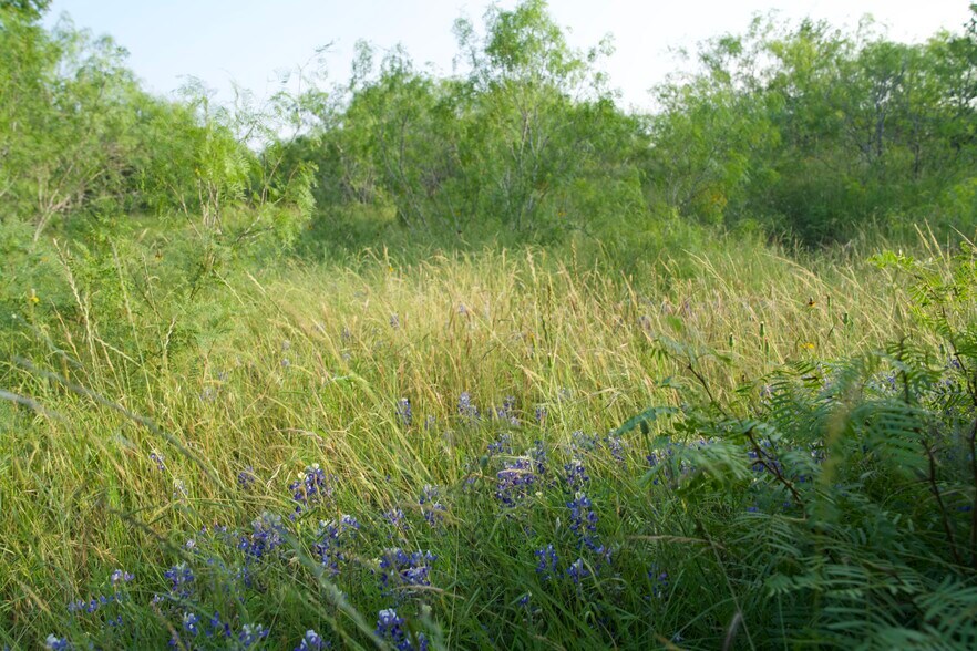 More Photos Of 00 Taylorsville Rd, Red Rock Land For Sale