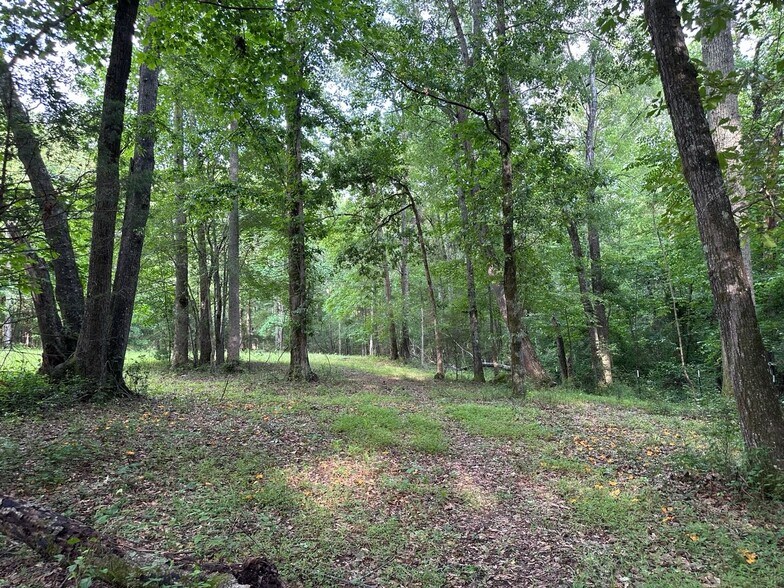 More Photos Of 4091 Hollonville Rd, Williamson Land For Sale