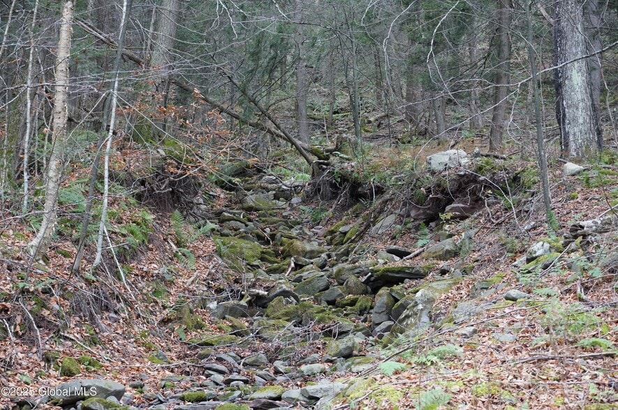 More Photos Of Mt Eden Estates Rd, Lexington Land For Sale