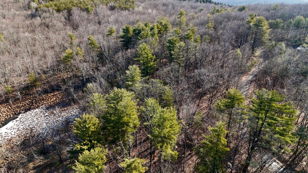 More Photos Of 411 Old Mountain Rd, Otisville Land For Sale