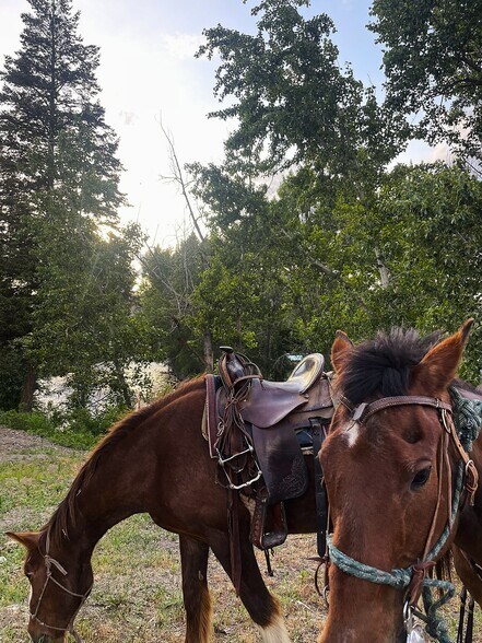 More Photos Of 201 N Methow Valley Hwy, Twisp Restaurant For Sale