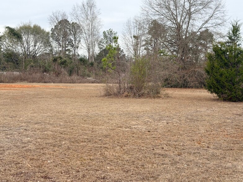 Primary Photo Of 1610 E Commerce St, Greenville Land For Sale