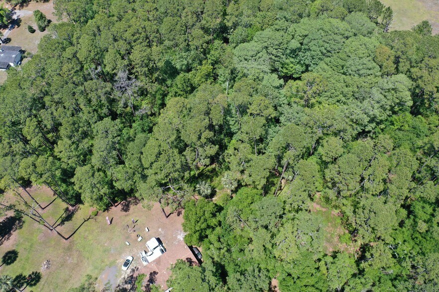 More Photos Of 638 Walnut St, Welaka Land For Sale