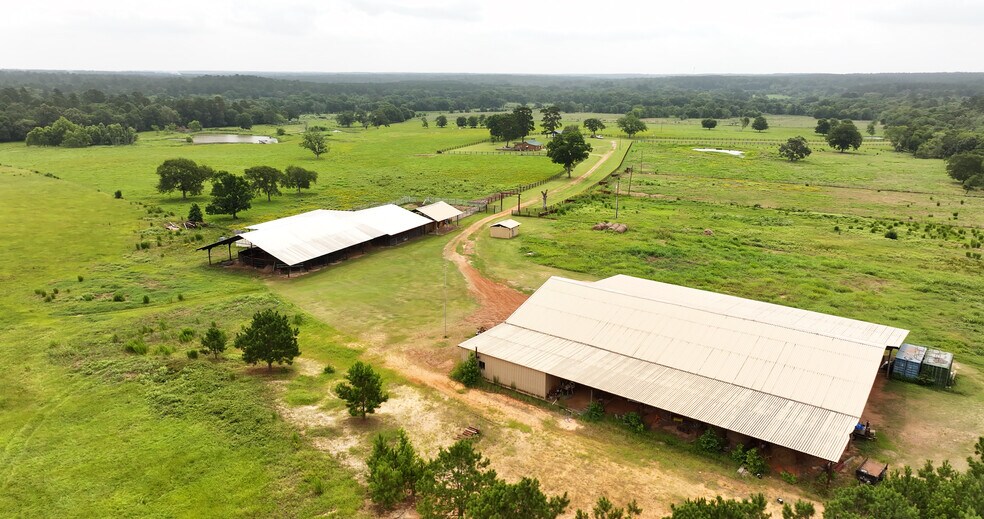 More Photos Of 44 Bucking Bull Rd, New Waverly Land For Sale
