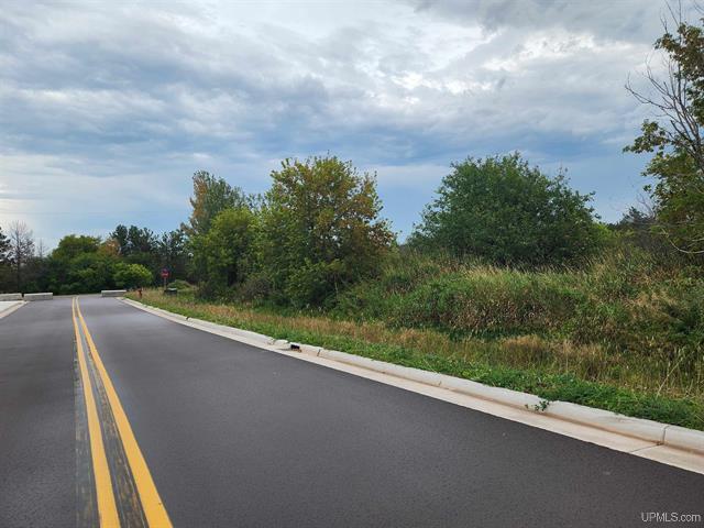 More Photos Of TBD9 Dolomite Dr, Hancock Land For Sale