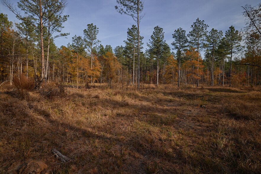 More Photos Of 480 Martin Rd, Cotton Valley Land For Sale