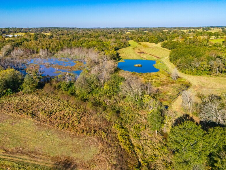 More Photos Of 391 Farm to Market 1519, Scroggins Land For Sale
